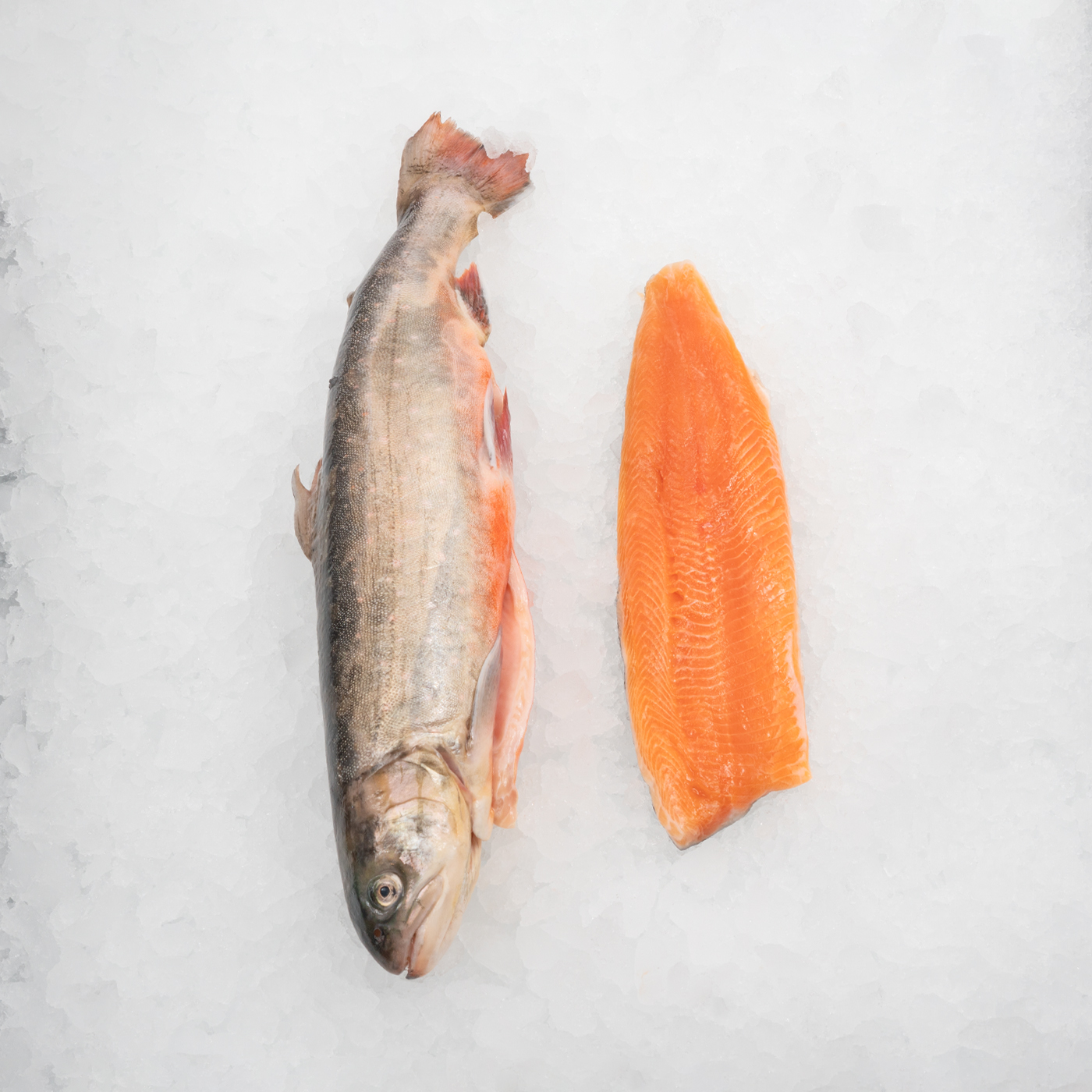 Fisk_0001_Rödingfilé