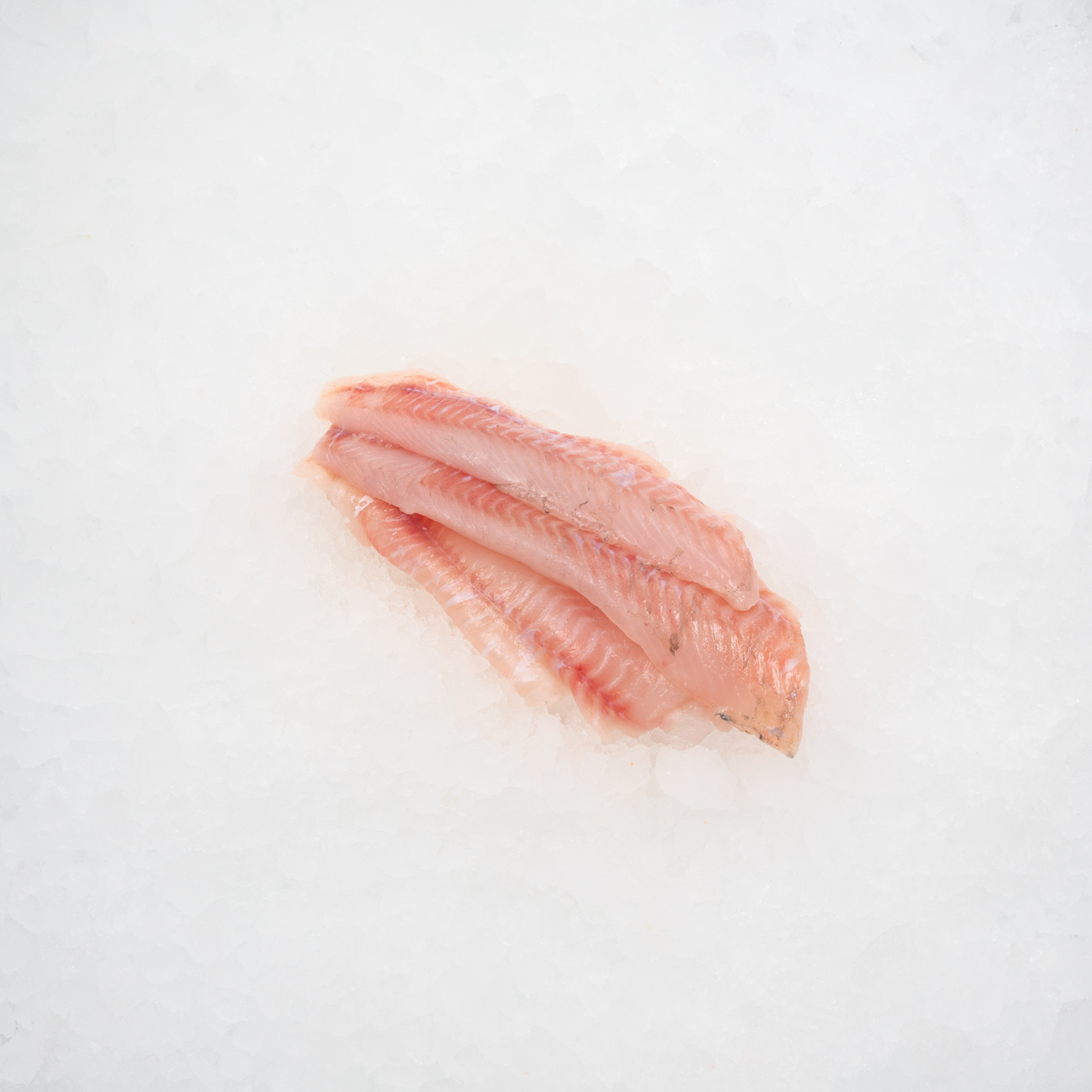 Fisk_0008_Aborrfilé