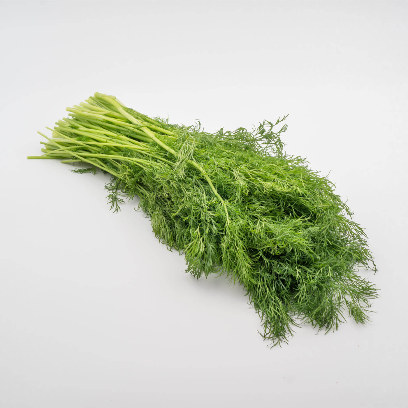 Gront_0001_Dill.jpg