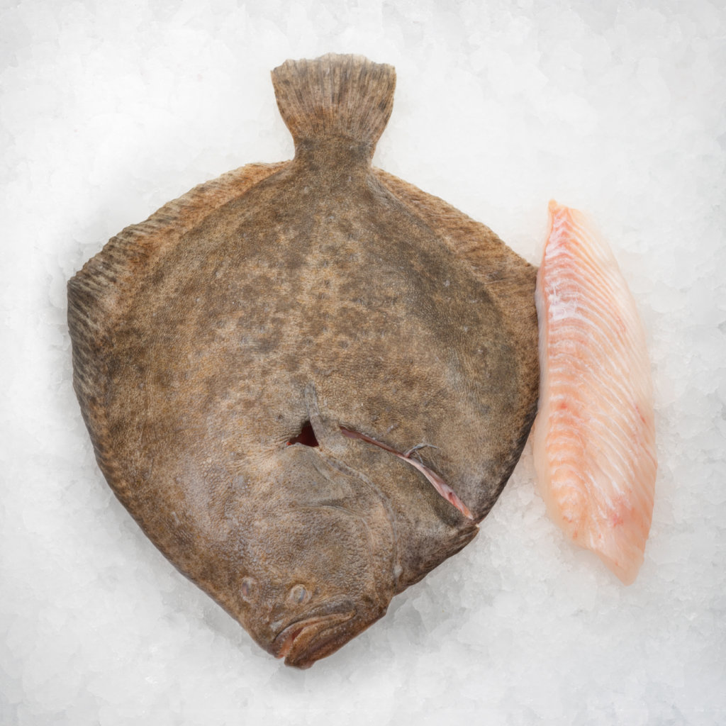 Fisk_0005_Piggvarfile-1024x1024