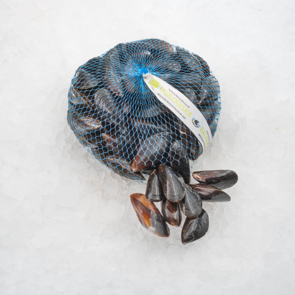 Fisk_0007_Blamusslor-1024x1024