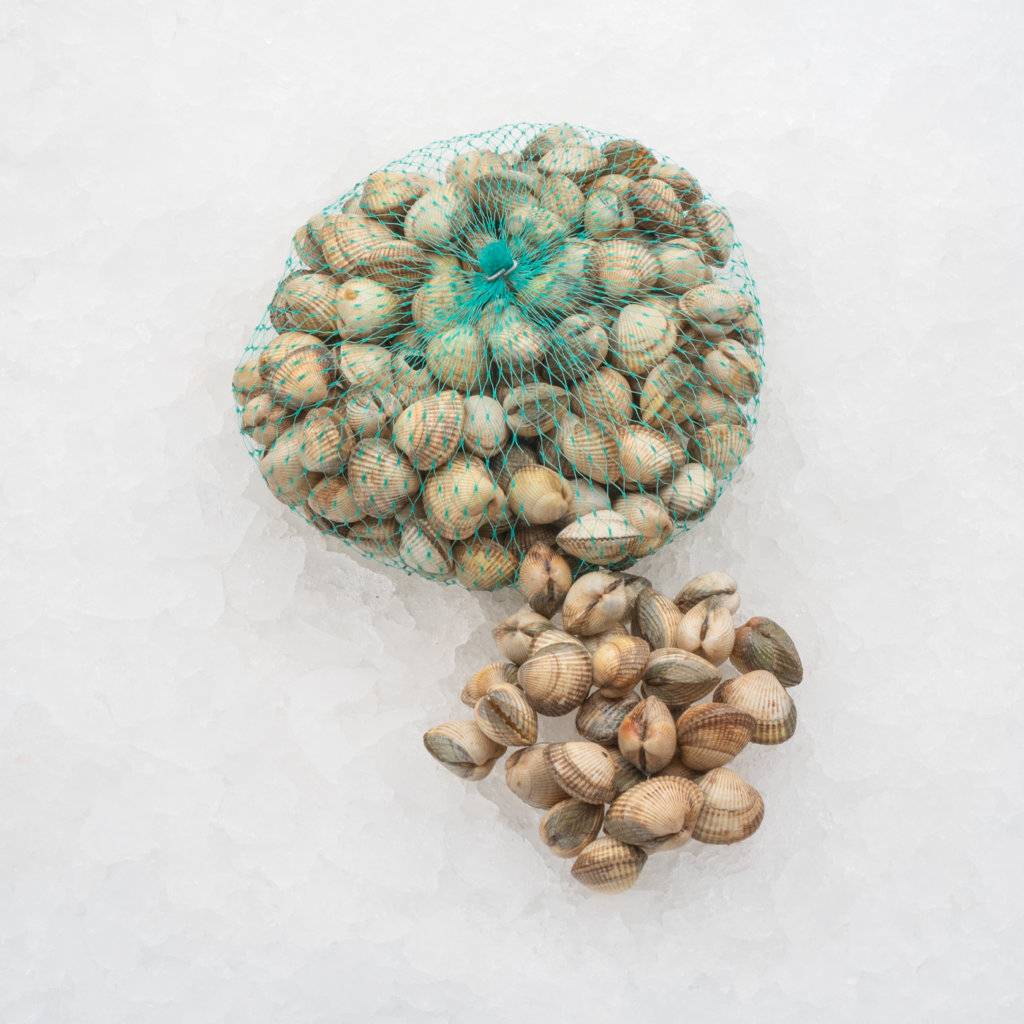 Fisk_0008_Hjartmusslor-1024x1024