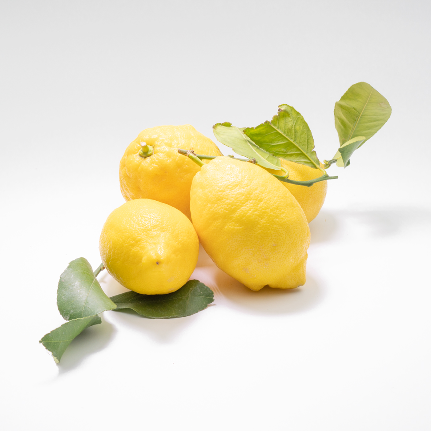 F&G_0002_Citron
