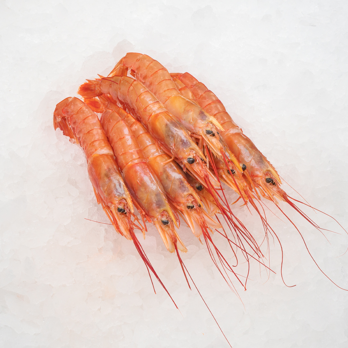 Fisk_0000_Argentinska rödräkor_v2